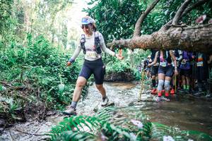 BIB: 
                            <button type="button" onclick="openModal(25468033)" class="btn btn-primary btn-sm float-right btn-popup" data-toggle="modal" data-target=".modal-high-quality">
                        <i class="fas fa-shopping-cart"></i> Add to Cart
                    </button>
                                            <button type="button" onclick="isThisMe(25468033, true)" class="btn btn-success btn-sm float-right btn-popup btn-isme hidden" data-toggle="tooltip" data-placement="bottom" title="นี่คือรูปของคุณใช่ไหม คลิกที่นี่เพื่อเอาเข้าอัลบั้ม">
                        <i class="fas fa-plus"></i> Add to album
                    </button>
                    <button type="button" onclick="isThisMe(25468033, false)" class="btn btn-warning btn-sm float-right btn-popup btn-isnotme hidden">
                        <i class="fas fa-ban"></i> Remove from album
                    </button>